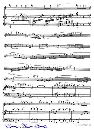 《海滨音诗》附小提琴谱-盛中国演奏