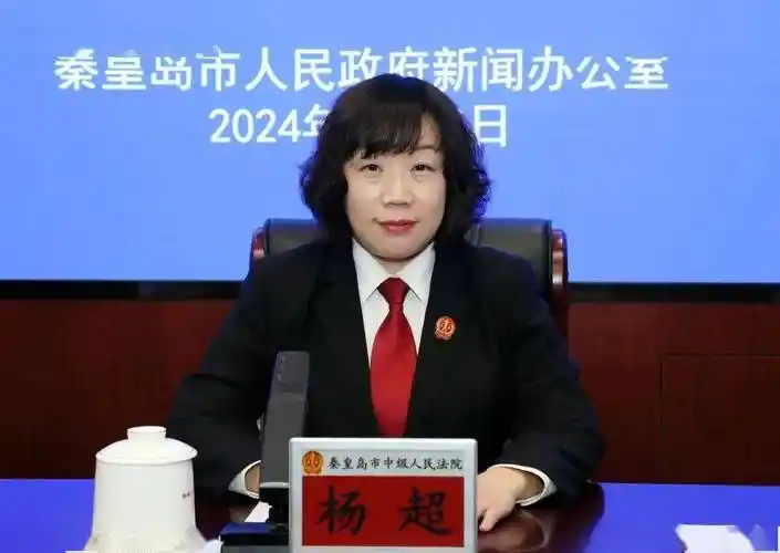 市法院党组成员,副院长杨超发布会现场.