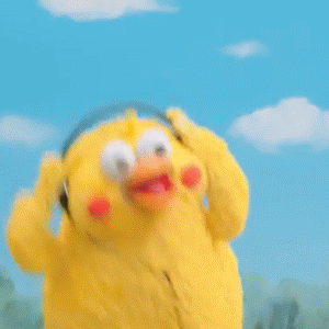 鹦鹉兄弟摇头晃脑 gif 动图