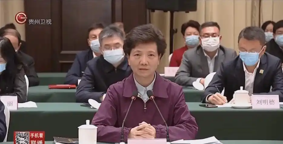 省委书记委托,西南腹地的女省长远赴东北