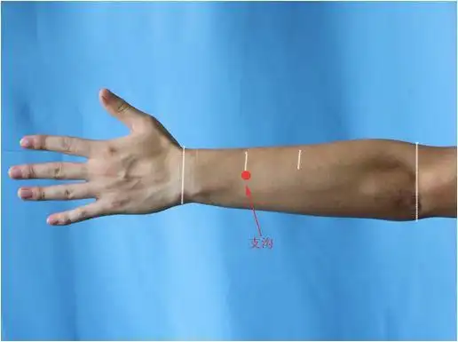 取穴:腕背横纹到肘横纹的距离为12寸,一半即为6寸,6寸一半即为3寸,在