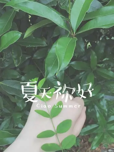 夏天你好