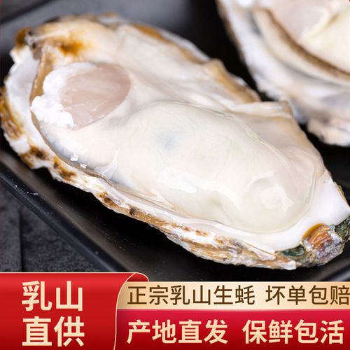 乳山生蚝鲜活10斤海鲜贝壳牡蛎海蛎子顺丰包邮