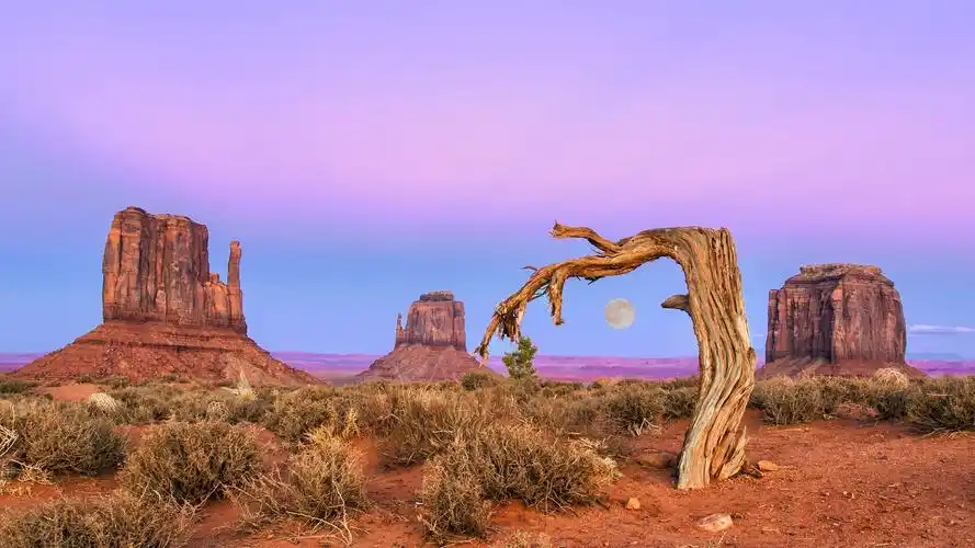 安装元气桌面,海量壁纸一键设置尺寸:2560x1440体积:1.