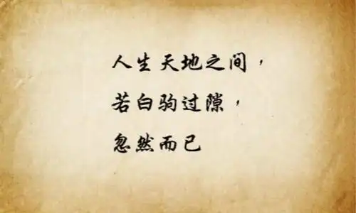 了就没意思了是纸看透了世间上的世态炎凉,看透彻了世间的人情冷暖,看