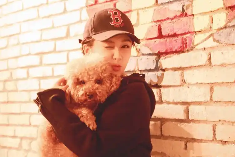 杨紫- 堆糖,美图壁纸兴趣社区