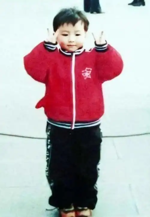 同李连杰主演过的童星:李连杰动作好帅(4)