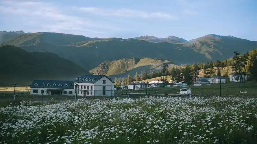 分享自用高清电脑壁纸 - 知乎