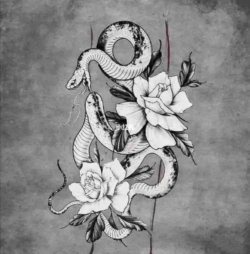 蛇纹身手稿|小腿纹身|花蛇纹身|素花蛇纹身