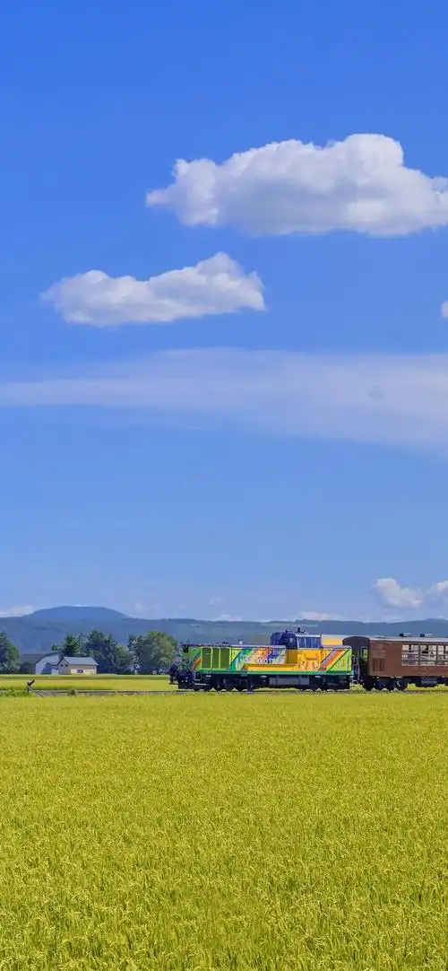 夏天干净治愈系美图 前方的风景好 我的意思是别回头,治愈的夏天图片