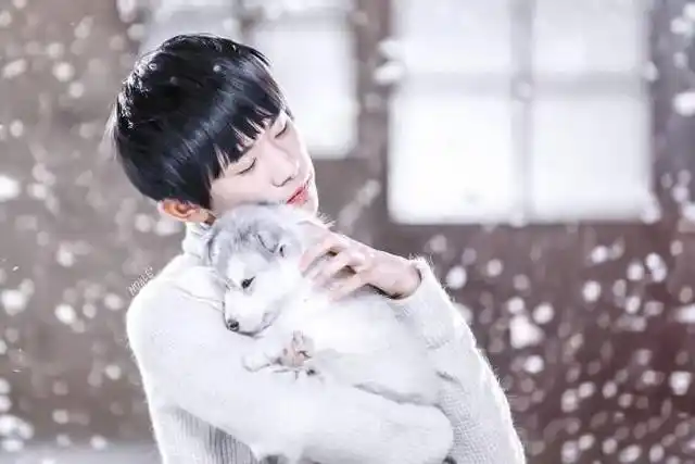 童话世界中的易烊千玺,与自然环境完美的融合