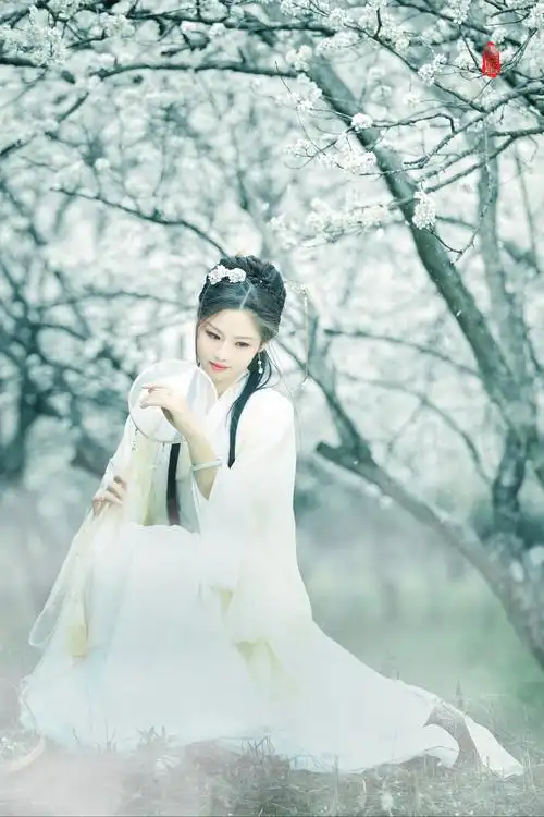 《梨花颂》 云成雨原创古风人像