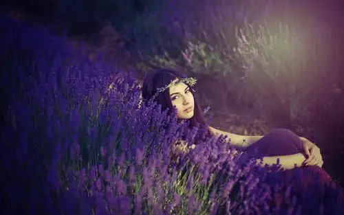 普罗旺斯花海美女