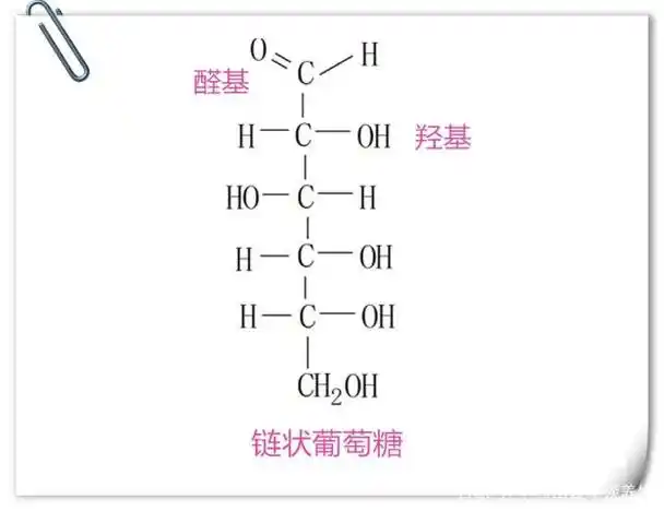 葡萄糖的链结构