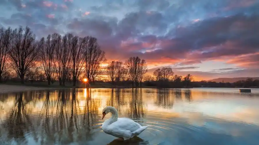 原创2020年的金牛座感情上不温不火事业上如火如荼