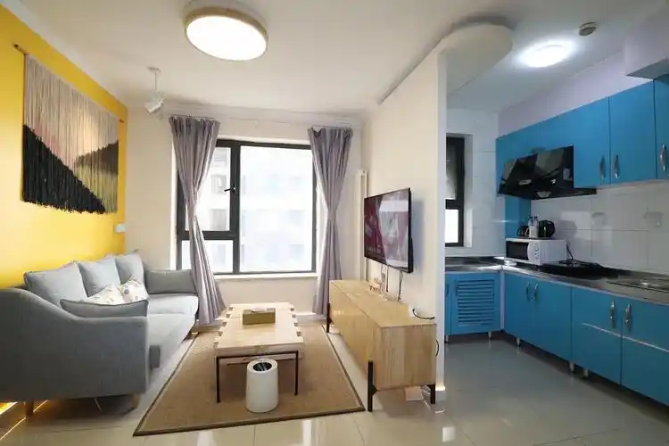 望京soho 东亚望京一居室 两套 随时看房入住 阜通.