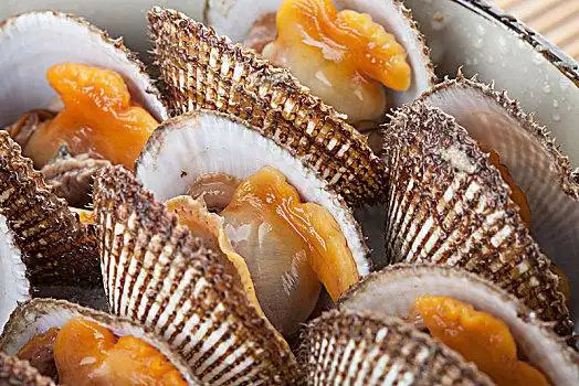 扇贝食品图片_扇贝食品图片大全_扇贝食品图片素材