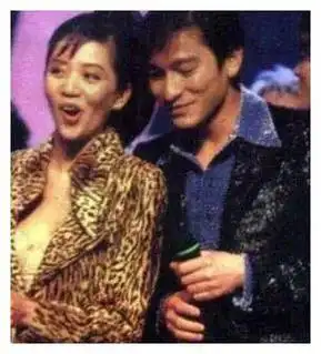 在梅艳芳的离世后,对于她与刘德华之间的感情故事,外界不再提起.