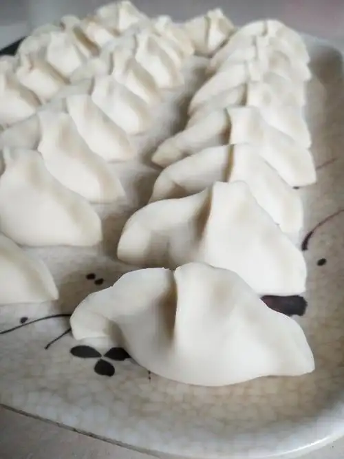 虹果果做的大肚饺子包法后附视频胡萝卜牛肉馅儿