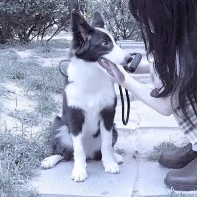 男的不是人系列情头,高清坑男朋友系列情侣头像图片