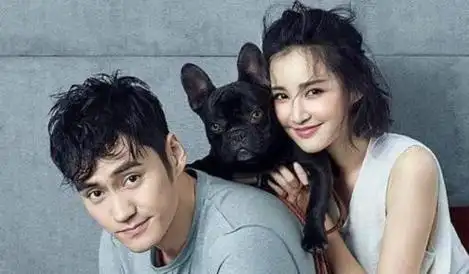 做家务的男人袁弘和张歆艺就是最好的夫妻关系