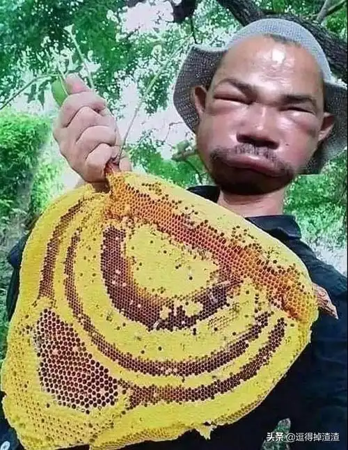 沙雕图片:做出一个违背祖宗的决定|爱情买卖|死人_网易订阅