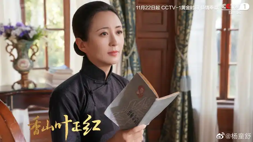 杨童舒在有趣的路上做减法丨人物