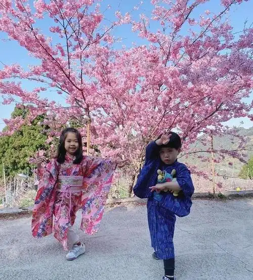 林志颖弟弟樱花树下拍全家福儿女双全长得像龙凤胎幸福温馨