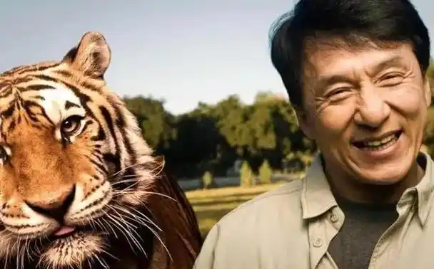 成龙头发花白,李连杰隐退,甄子丹《叶问5》成功夫片最后遮羞布