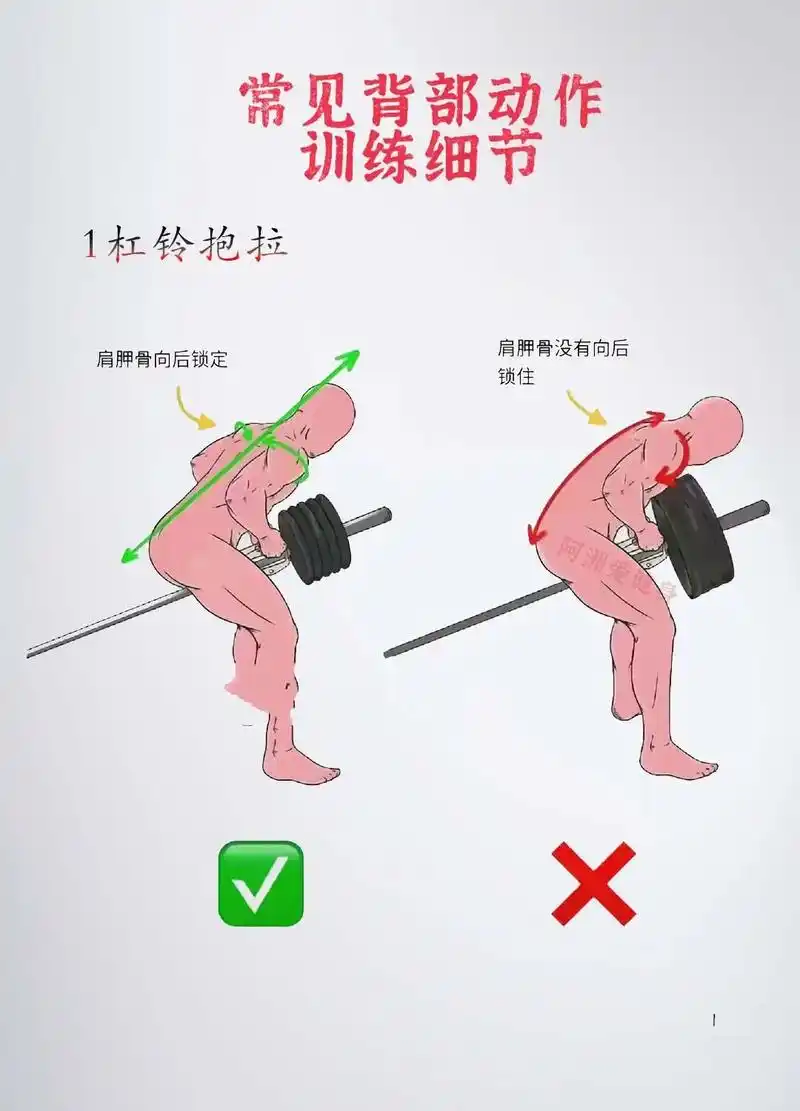常见背部训练细节 你一定要知道.#图文伙伴计划 分别是1常见 - 抖音