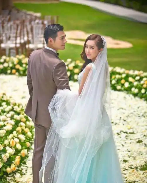 茅子俊被林心如坑,乔振宇为养家糊口_严屹宽_张智尧_陈龙