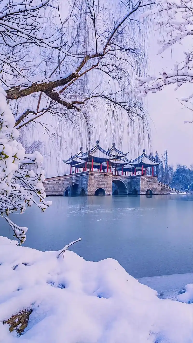 十二月雪梅花盛开