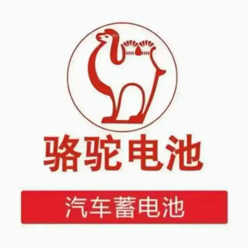 骆驼蓄电池.骆驼电池到货[庆祝][庆祝][庆祝] 检查你的爱 - 抖音