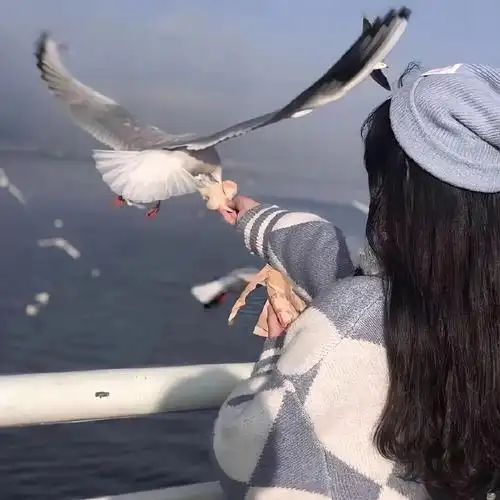 不露脸女生背影头像