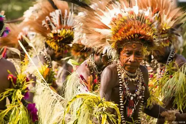 《最后的莫西干人》(the last of the mohicans)是美国作家詹姆斯