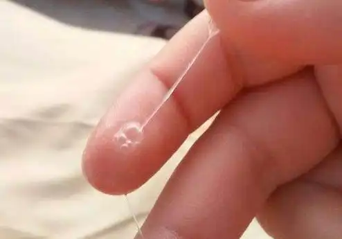 分泌物,女性想要找出自己的排卵期,在通常的情况下可以仔细的观察白带