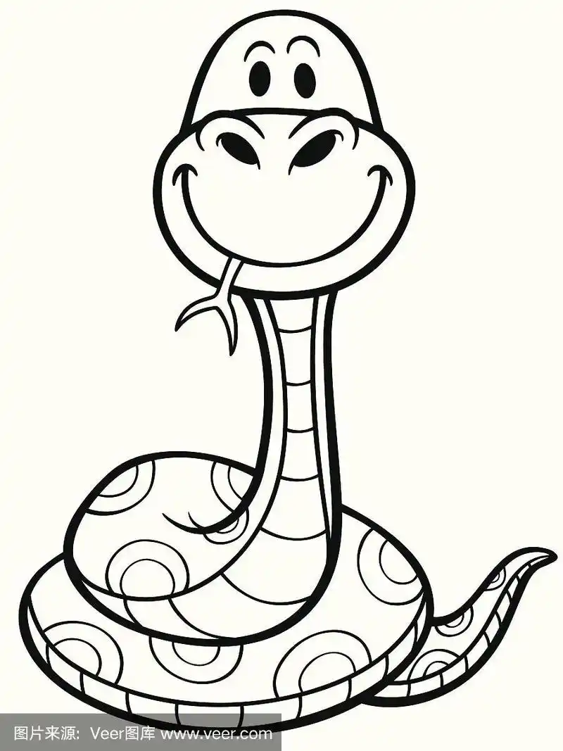 蛇,蝰蛇,巨蟒,野生动物,可爱的