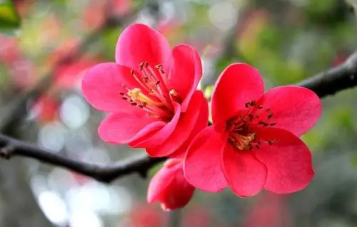 无霾桂林#--过几天,桂林将变成全国最美的城市!