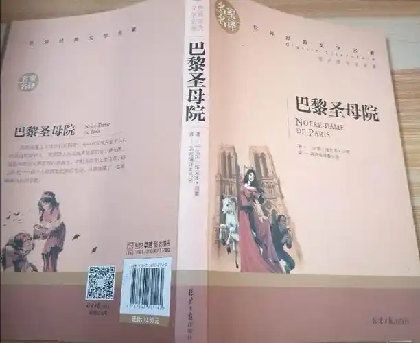 年级成长主题活动——"读书与境界"之《巴黎圣母院》读后感