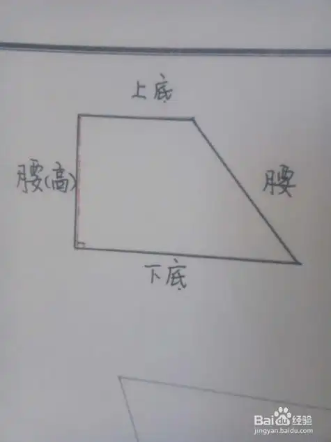 梯形的高怎么画