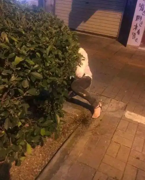 晚上下班经过一处绿化带,发现一女子蹲在树后面,看动作好像在吃东西