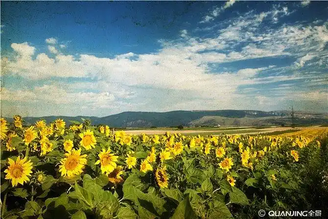 照片图片_图片大全