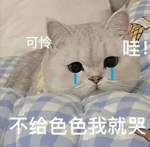 污污瑟瑟撩人色色表情包