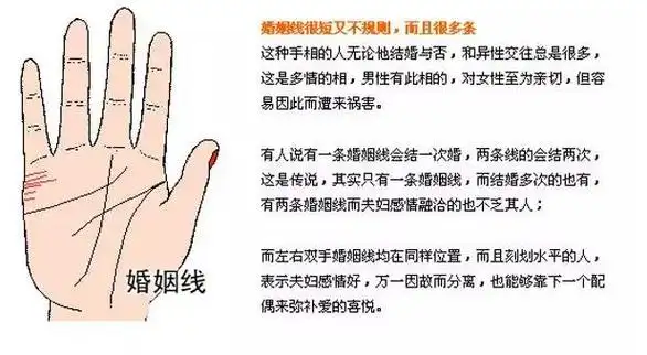 右手手相图解大全女生运势,快来看看你的线纹(智慧线短不聪明)
