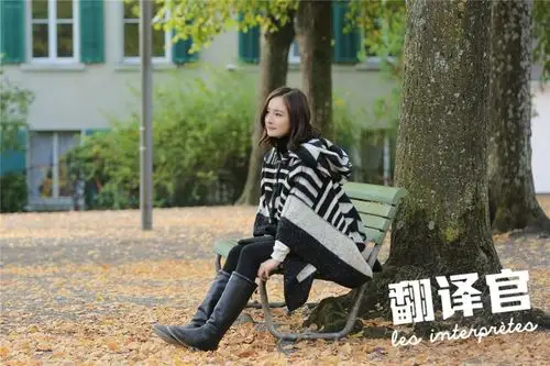 杨幂黄轩游瑞士花样虐狗 《翻译官》获瑞驻华大使称赞