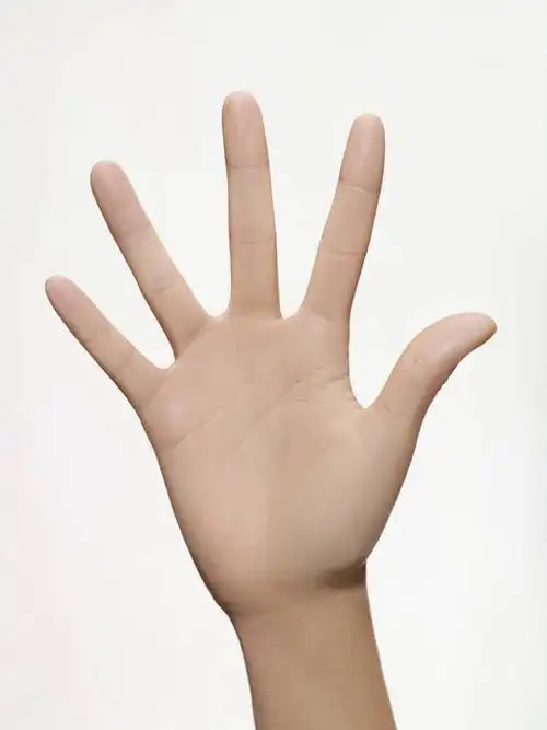 西方人,手,一个人,竖图,室内,特写,白天,白色背景,正面,欧洲,欧洲人