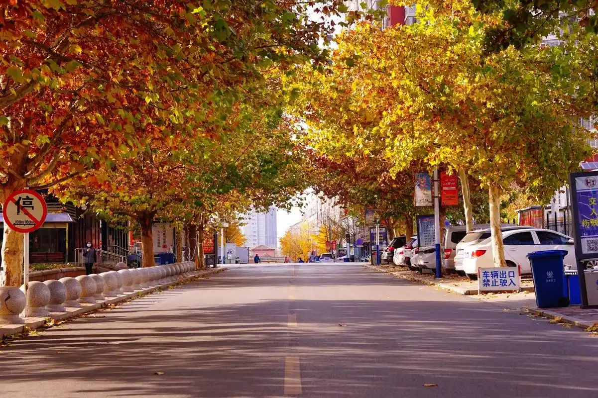 学习一下构图 #我的摄影日记  #玉田县 - 抖音