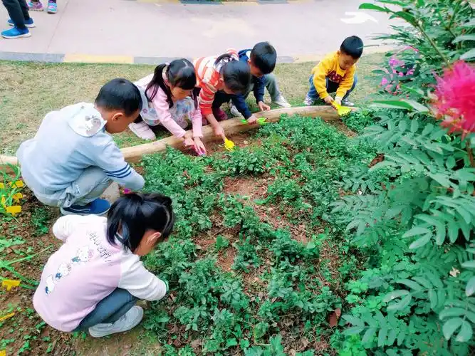2班的《薄荷宝宝种植记》