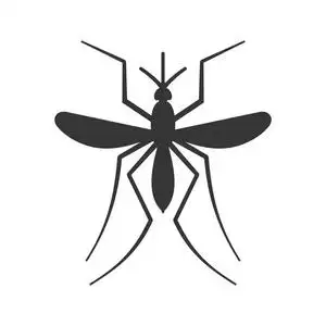 蚊子在白色背景上的图标.矢量照片