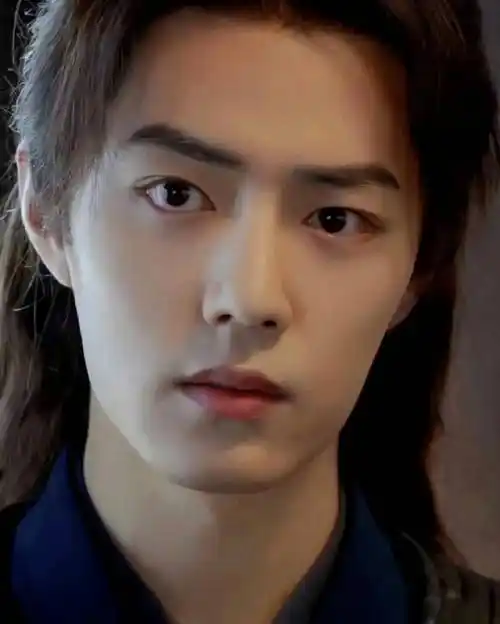 肖战被踢出斗罗大陆和庆余年续集,指责剧组蹭热度_王一博_电影_流量